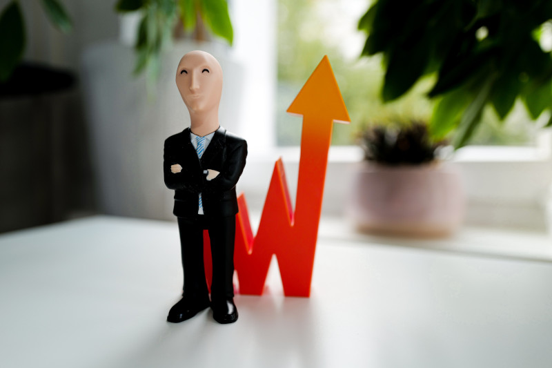 Sole Trader or Limited Company: Making the Right Choice for Your Business Success Sole Trader or Limited Company: Making the Right Choice for Your Business Success